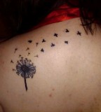 Bird And Dandelion Tattoo On The Shoulder Back
