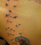 Shoulders Black Dandelion And Birds Tattoo