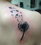 Flying Birds And Dandelion Tattoos Pictures