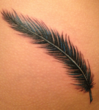 Beautiful Feather Tattoos Design