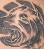 American Pitbull Dog Tattoo 