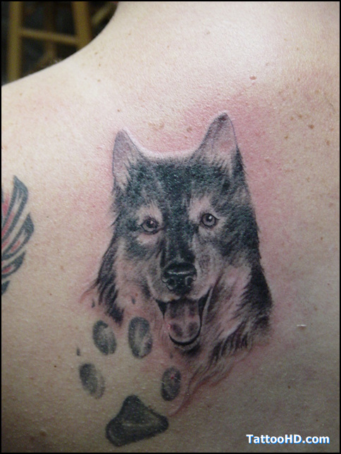 Wolf Dog Tattoo Design