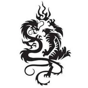 The Meaning Of A Dragon And Tiger Tattoo