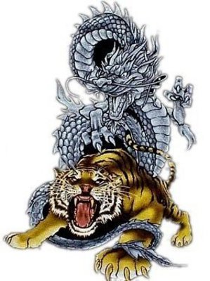 Martial Art  White Tiger Dragon Tatoo