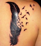 Feather Tattoo Morphing into Black Birds Tattoo Design