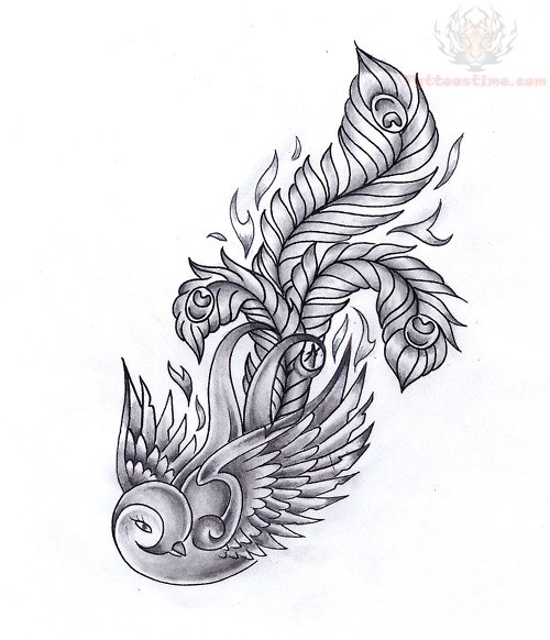 Stunning Swallow Feather Tattoo Drawing Design