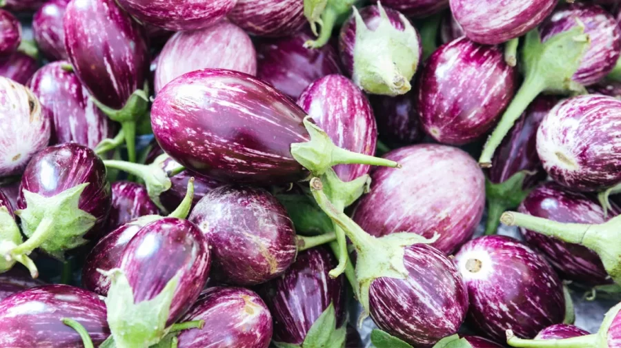 Top 4 Health Benefits of Eggplant