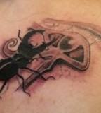 Beetle Tattoos Tattoo Designs