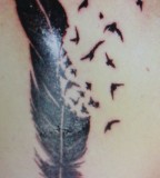 Charming Image Of Bird Feather Tattoo