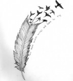 Creative Feather Bird Tattoo Photo