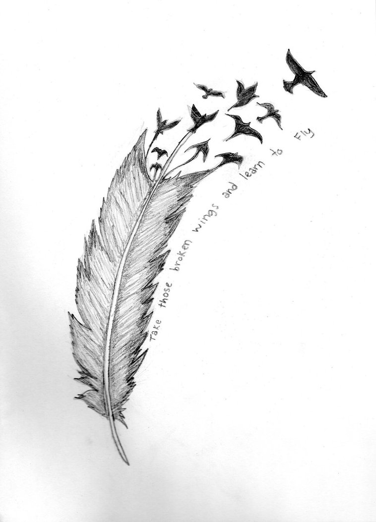 Creative Feather Bird Tattoo Photo