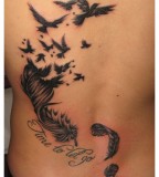Cool Inspirational Feather And Bird Tattoo 