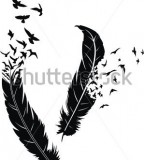 Two Stylized Feathers With Scattering Birds 