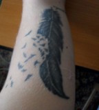 Bird Feather Tattoo Inner Arm