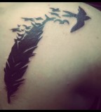 Art Feather Bird Tattoo