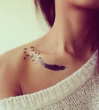 Beautiful Birds of A Feather Tattoo on Women Shoulder Area