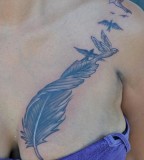 Blue Feather Birds Women Chest Tattoo (NSFW)