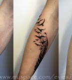 Stunning Circling Birds of A Feather Tattoo on Lower Arm
