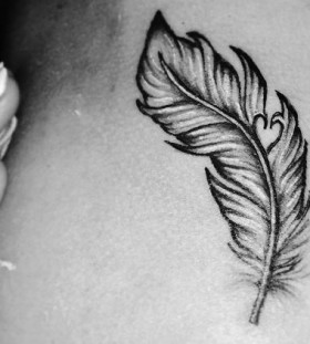 feather with a heart
