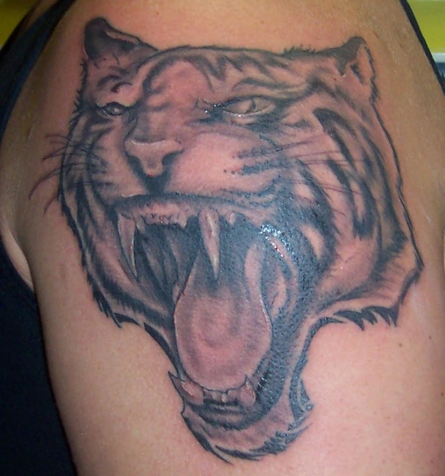 Cool Tiger Tattoos Pictures And Images