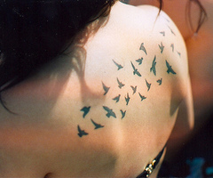 Dove Tattoos Flock Of Birds