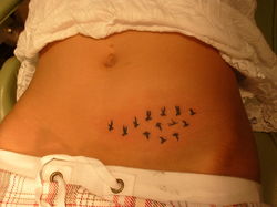 Abdominal Flock of Birds Tattoo