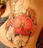Orchid Flower Tattoos Design