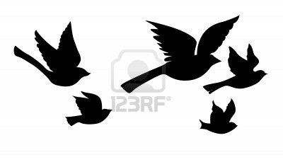 Amazing Picture Of Flying Bird Silhouette Tattoo Design