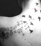 Chic Dandelion Bird Silhouette Shoulder Back Tattoo Wallpaper