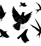 Flying Birds Silhouette On White Background Vector Illustration
