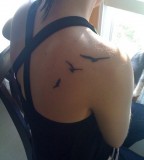 Excellent Flying Seagull Bird Silhouette Back Shoulder Tattoo