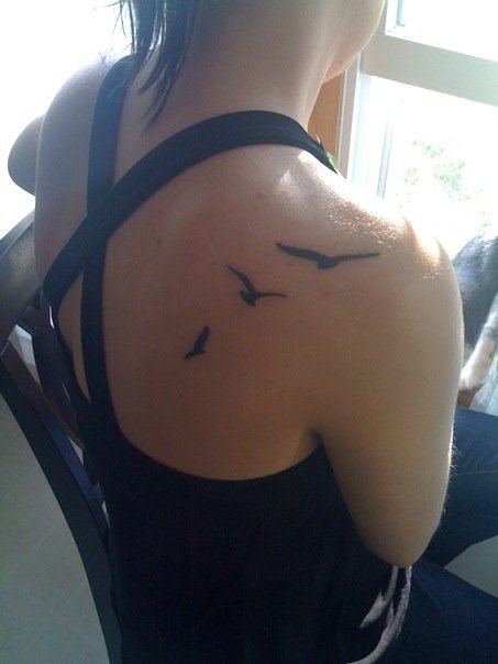 Excellent Flying Seagull Bird Silhouette Back Shoulder Tattoo