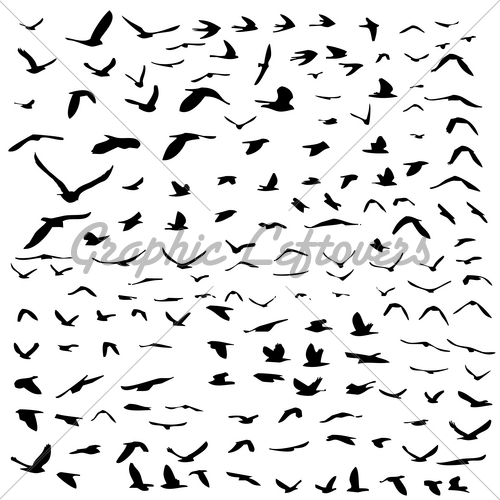 Appealing Stylized Birds Flying Silhouette Design Illustration