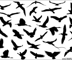 Image Of Black Flying Bird Silhouette Tattoo Clipart