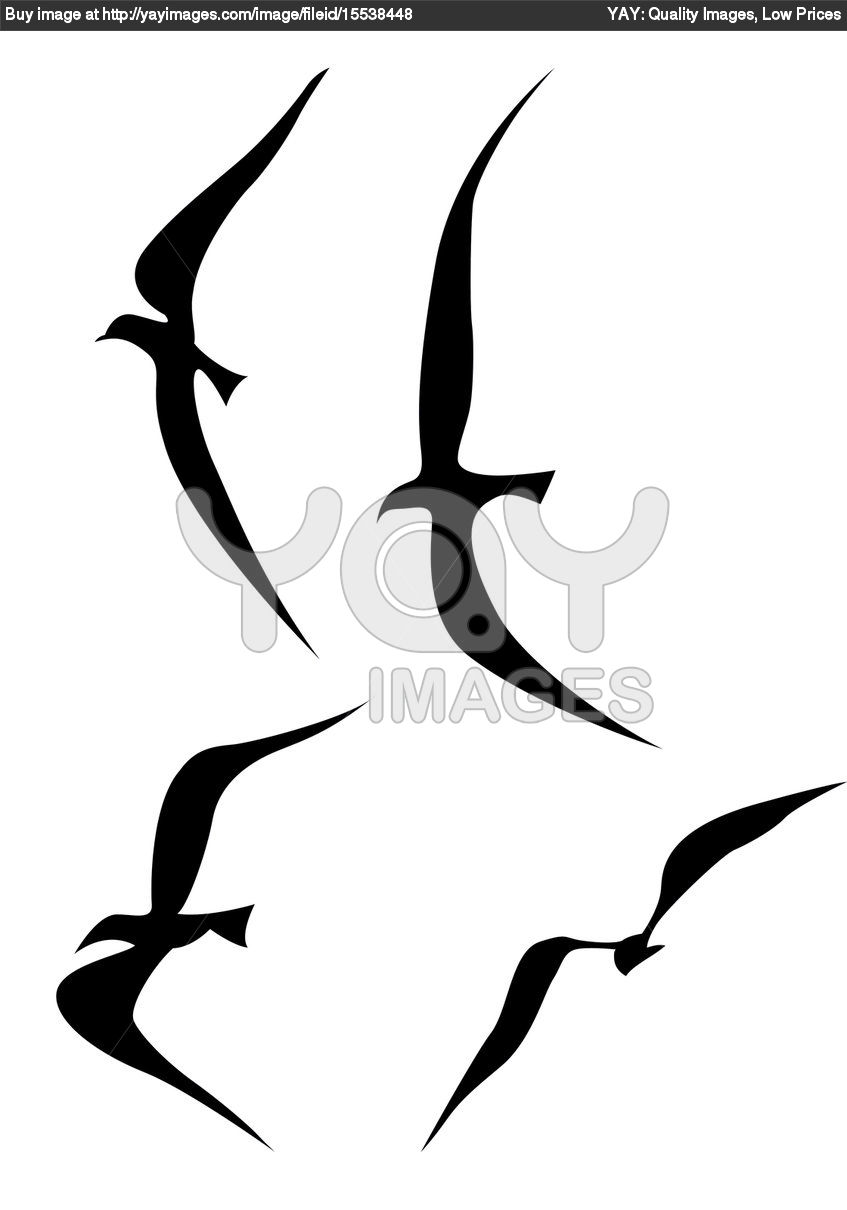 Splendid Flying Birds Silhouette Tattoo Vector Illustration