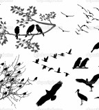Fantastic Image Of Flying Sparrow Birds Silhouette Tattoo Inspiration 