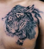 White Tiger Tattoo Design for Chest Men (NSFW)