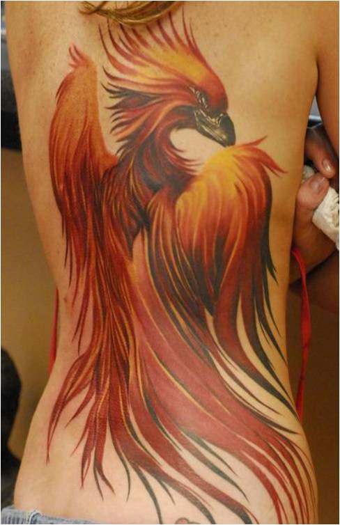 Superb Colored Phoenix Bird Tattoo Photo On The Full Back