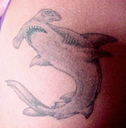 Wallpaper Of Hammerhead Shark Tattoo