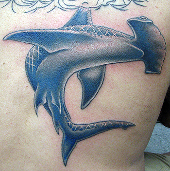 Fascinating Hammerhead Shark Tattoo Inspiration Photo