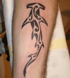 Tribal Hammerhead Shark Tattoo Design On Arm