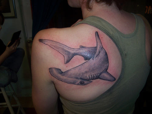Hammerhead Shark Tattoo On The Left Upper Back