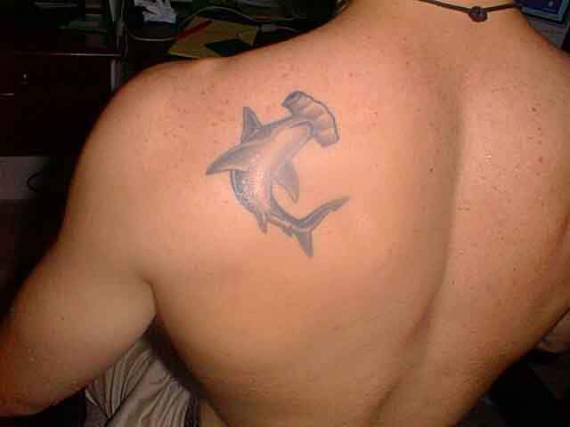 Hammerhead Shark Tattoo Ideas On Left Upper Back