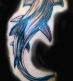 Inspirational Lovely Hammerhead Shark Tattoo