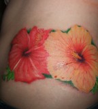 Orange Hibiscus Flower Tattoo Designs