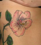 Best Hibiscus Flower Tattoo Designs For Girls