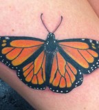 Monarch Butterfly Done at Horns and Halos Tattoo Design