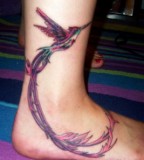 Flying Hummingbird Tattoo on Foot