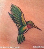 Green Hummingbird Tattoo Design