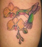 Simple and Cute Hummingbird Tattoos Designs